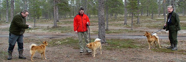 UKK-haukkujen 2005 voittajat