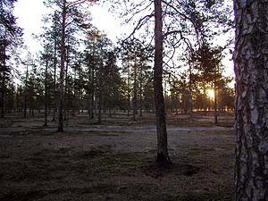 Sunnuntai aamun tsms klo. 07.00
