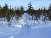 Maaliskuu 2006