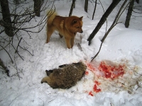 Huhtikuu 2006