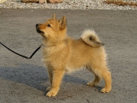 Toukokuu 2006
