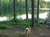 Kesäkuu 2006