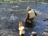 Heinäkuu 2006