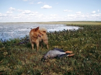 Elokuu 2006