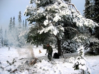 Marraskuu 2006