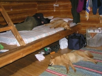 Joulukuu 2006