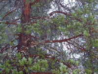 Syyskuu 2007