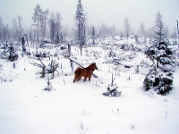Tammikuu 2008