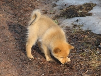 Toukokuu 2008