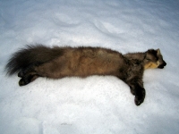 Joulukuu 2008