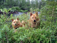Kesäkuu 2009