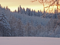 Tammikuu 2010