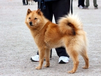 Toukokuu 2011