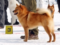 Huhtikuu 2012
