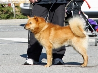 Toukokuu 2012