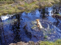 Kesäkuu 2012
