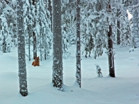 Joulukuu 2012