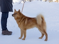 Helmikuu 2013
