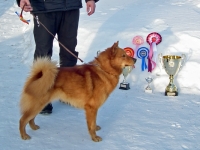 Huhtikuu 2013