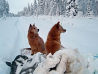 Tammikuu 2014