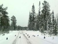 Helmikuu 2014
