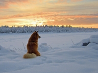 Joulukuu 2014