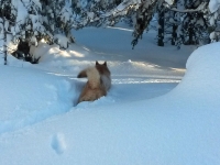 Huhtikuu 2015