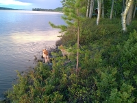 Kesäkuu 2015