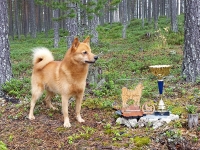 Syyskuu 2015