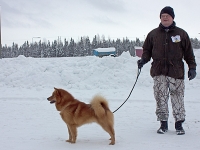 Helmikuu 2016