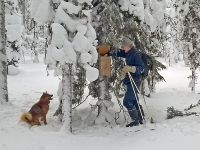 Helmikuu 2017