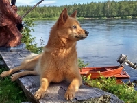 Kesäkuu 2017