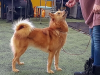 Maaliskuu 2019