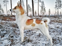 Helmikuu 2018