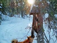 Helmikuu 2020