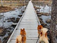 Toukokuu 2021