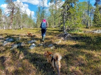 Kesäkuu 2021