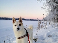 Joulukuu 2021