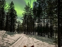 Tammikuu 2022