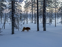 Helmikuu 2022