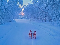 Helmikuu 2026