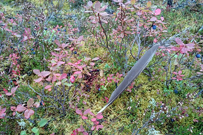 © Juha Möttönen 2016